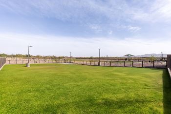 A large, well-maintained grassy field with a fence and street lights.